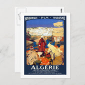 Carte Postale Vintage Algérie Travel (Devant / Derrière)