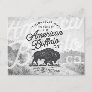 Carte Postale Vintage American Buffalo Montana Travel