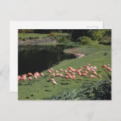 Carte postale vintage American Scenery (Devant / Derrière)