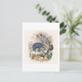 CARTE POSTALE vintage ANIMALE ROYAUME ILLUSTRATION (Debout devant)
