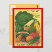 Carte postale Vintage Antique Burt Co Semences vég (Devant / Derrière)