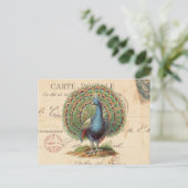 Carte postale vintage antique paon (Debout devant)