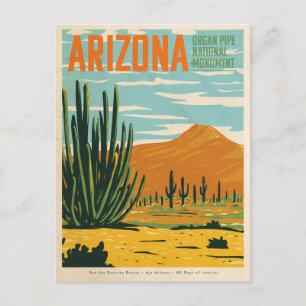 Carte Postale Vintage Arizona Desert Cactus