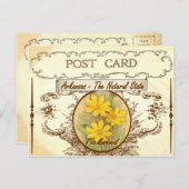 Carte postale vintage Arkansas State Flower (Devant / Derrière)