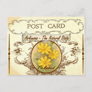 Carte postale vintage Arkansas State Flower