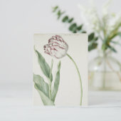 Carte postale Vintage Art blanc et rouge Tulip (Debout devant)