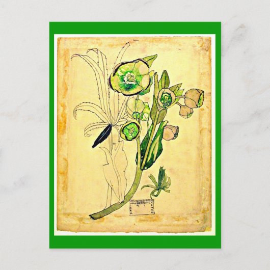 Carte postale-Vintage Art-Charles Rennie Mackintos (Devant)