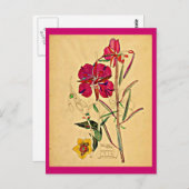 Carte postale-Vintage Art-Charles Rennie Mackintos (Devant / Derrière)