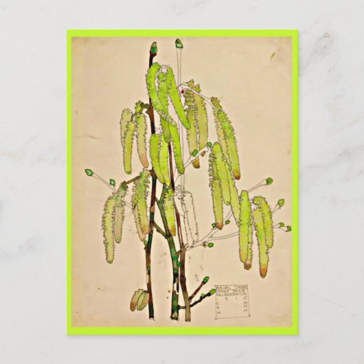 Carte postale-Vintage Art-Charles Rennie Mackintos (Devant)