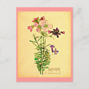 Carte postale-Vintage Art-Charles Rennie Mackintos