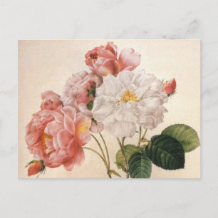 Carte postale vintage Art Rose