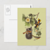Carte postale vintage Audubon Birds Troupil Oriole (Devant / Derrière)