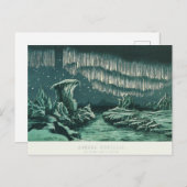 Carte Postale Vintage Aurora Borealis (Devant / Derrière)