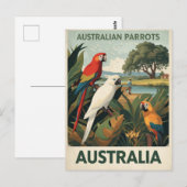 Carte Postale Vintage Australia Parrots Wildlife (Devant / Derrière)