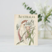 Carte postale vintage Australian Galah (Debout devant)