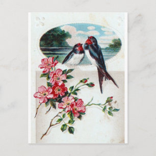 Carte Postale Vintage Barn Swallows