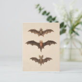 Carte postale vintage Bats Halloween (Debout devant)