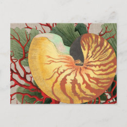 Carte postale vintage Beach Seashell & Red Coral
