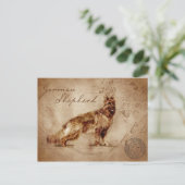 carte postale vintage berger allemand (Debout devant)