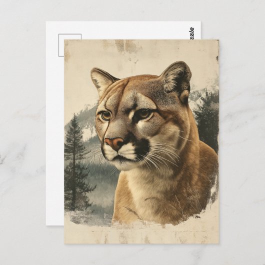 Carte Postale Vintage Berglöwe (Devant / Derrière)