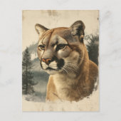 Carte Postale Vintage Berglöwe (Devant)