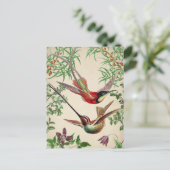 Carte postale vintage Birds Illustration (Debout devant)