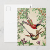 Carte postale vintage Birds Illustration (Devant / Derrière)