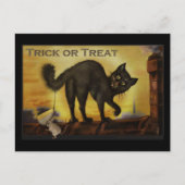 Carte postale vintage Black Cat (Devant)