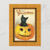 Carte postale vintage Black Cat Citrouille Hallowe (Devant)
