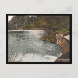 Carte Postale Vintage Black Hills