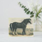 Carte postale Vintage Black Shift (Debout devant)