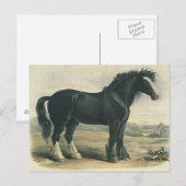 Carte postale Vintage Black Shift (Devant / Derrière)