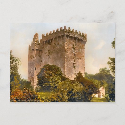 Carte Postale Vintage Blarney Castle Irlande (Devant)
