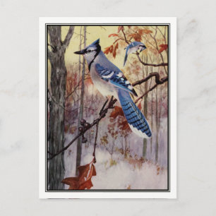 Carte Postale Vintage Blue Jay par Robert Bruce Horsfall