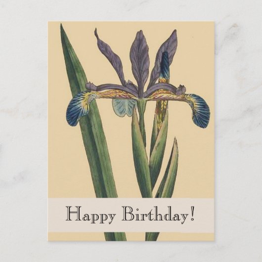 Carte postale vintage Botanical Iris Birthday (Devant)