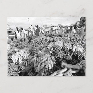 Carte Postale Vintage Brésil Manaus