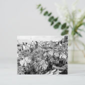 Carte Postale Vintage Brésil Manaus (Debout devant)