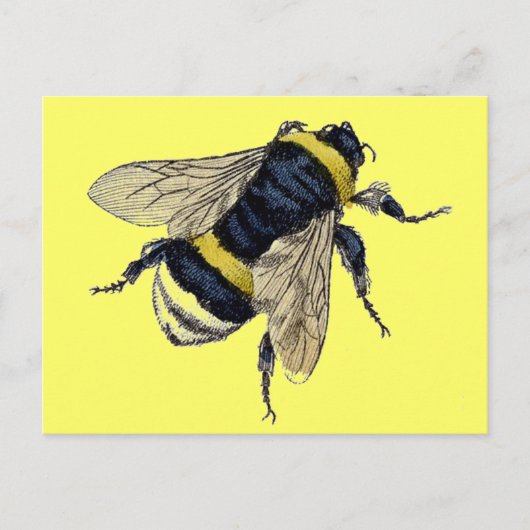 Carte Postale Vintage Bumble Bee (Devant)