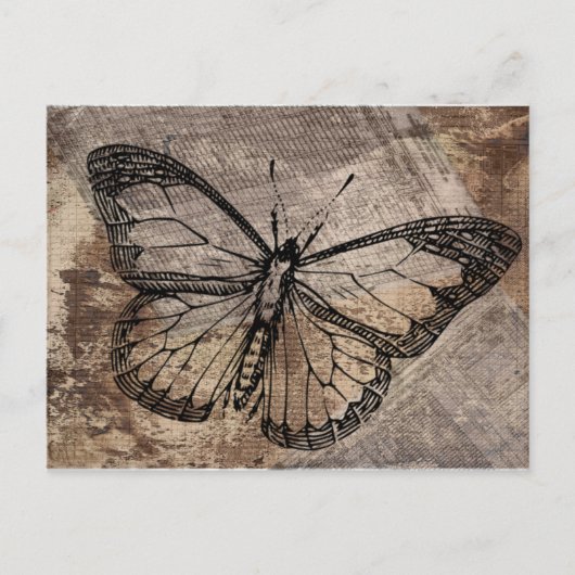 Carte Postale Vintage Butterfly (Devant)