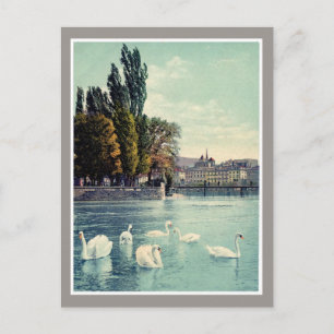 Carte Postale Vintage c. Swans Genève 1900 à l'île Rousseau