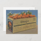 Carte postale vintage California Oranges (Devant / Derrière)