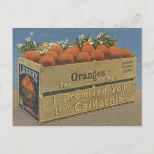 Carte postale vintage California Oranges