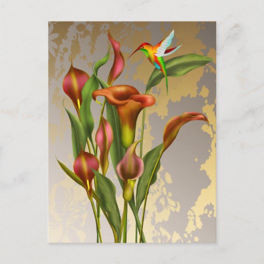 Carte Postale Vintage Calla Lilies et colibri (Devant)