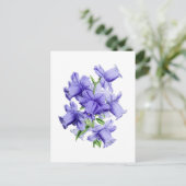 Carte postale Vintage Campanula (Debout devant)