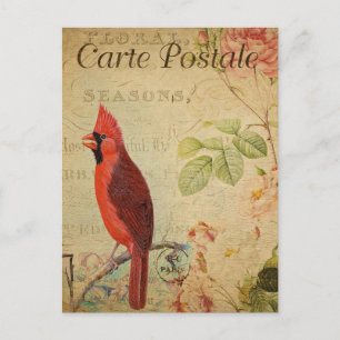 Carte Postale Vintage Cardinal Oiseau rose Roses Florales França