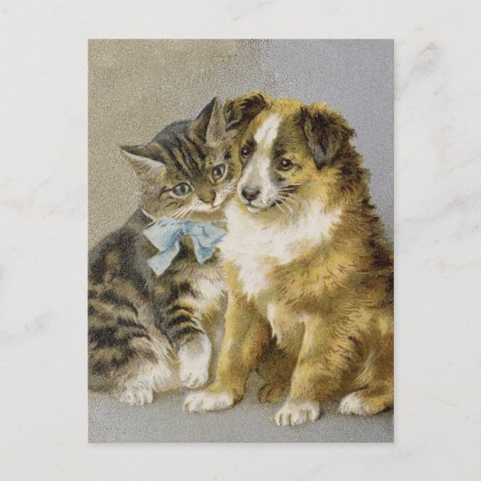 Carte Postale Vintage cat and dog intimate friendship (Devant)