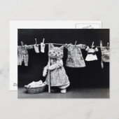 Carte Postale Vintage Cat Hanging (Devant / Derrière)