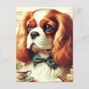 Carte Postale Vintage Cavalier King Charles Peinture espagnole