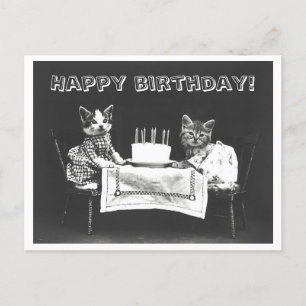 Carte Postale Vintage chat Anniversaire gâteau Oddity