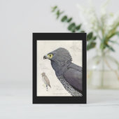 Carte postale Vintage Chicago Art-Abyssinian Birds (Debout devant)